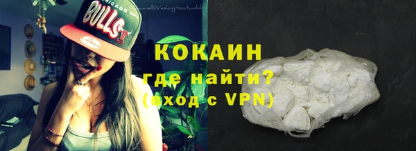 индика Балахна