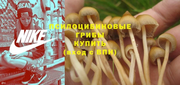 индика Балахна