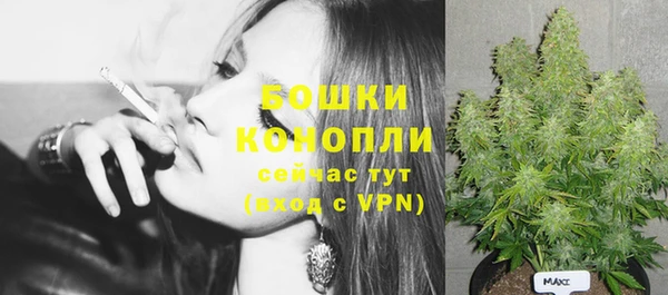 индика Балахна