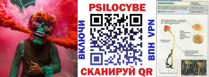 Галлюциногенные грибы Cubensis  darknet наркотические препараты  Новотитаровская 